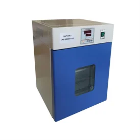 Laboratory Experiment Bacteria Cultivation Breeding...