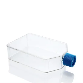 Laboratory Culture Flask with Seal Cap
